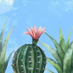 Ideallux Küchenläufer