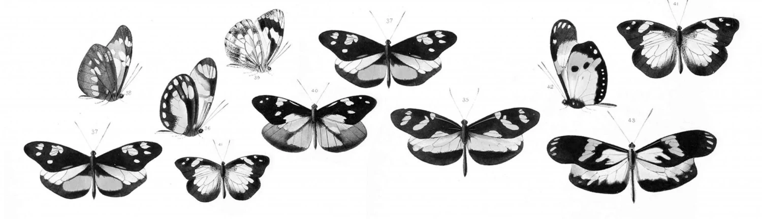 Ideallux Küchenläufer 1 Ideallux Küchenläufer