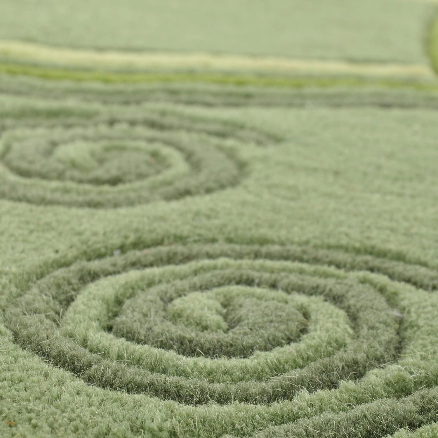 THEKO die markenteppiche Kurzflorteppich Ambadi - Schurwolle - Grün - 70 x 140 cm 2 THEKO die markenteppiche Kurzflorteppich Ambadi - Schurwolle - Grün - 70 x 140 cm – Bild 2