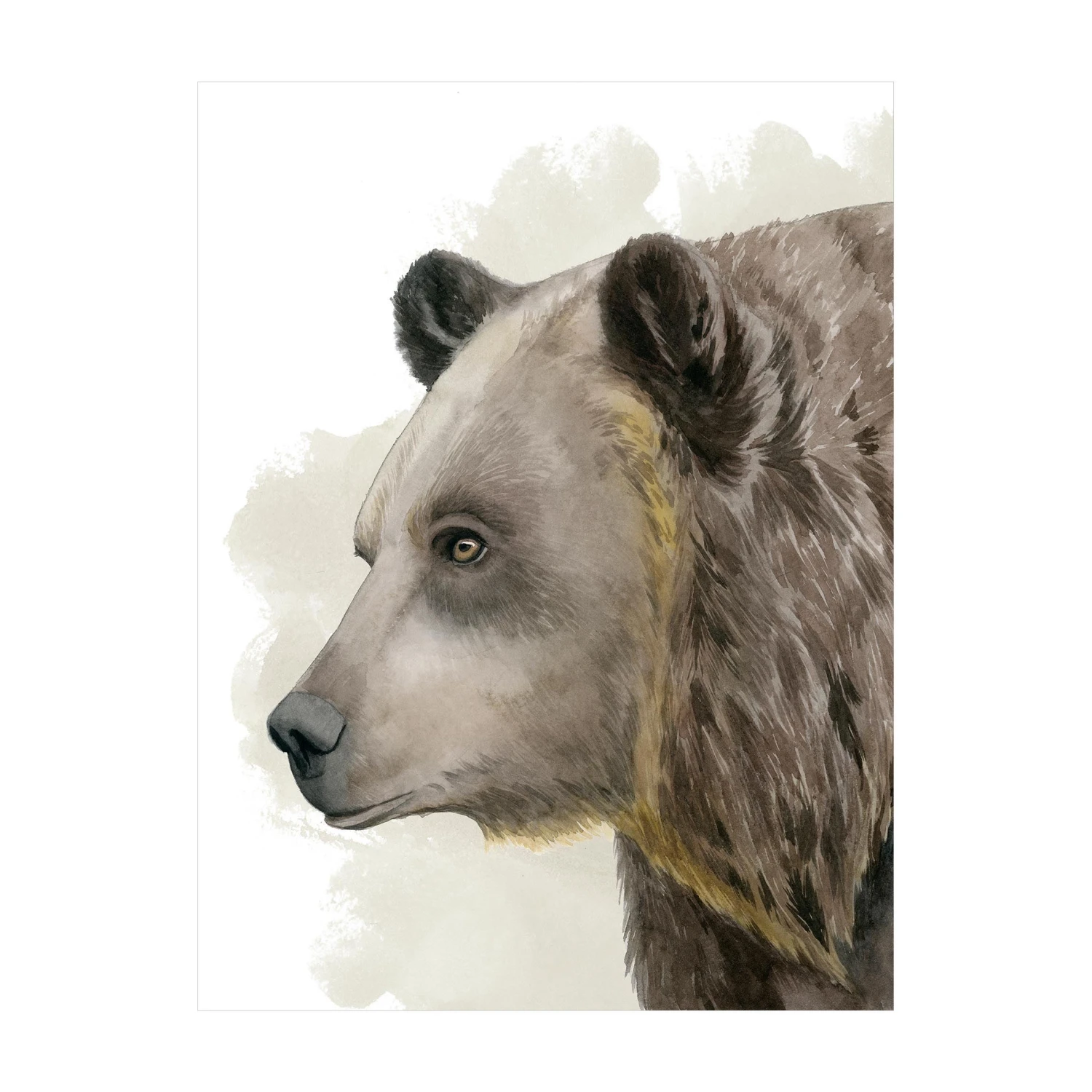 Bilderwelten Waldfreunde - Bär - 240 x 320 cm - Durchmesser: 320 cm 1 Bilderwelten Waldfreunde - Bär - 240 x 320 cm - Durchmesser: 320 cm