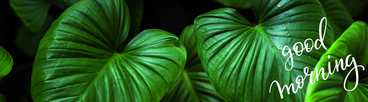 Ideallux Küchenläufer 1 Ideallux Küchenläufer