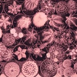 Ideallux Küchenläufer