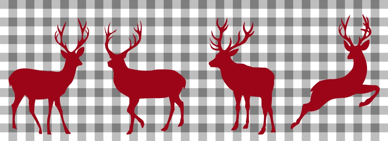 Ideallux Küchenläufer 1 Ideallux Küchenläufer